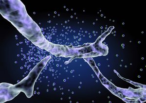 通化市集安市光學儀器有限責任公司