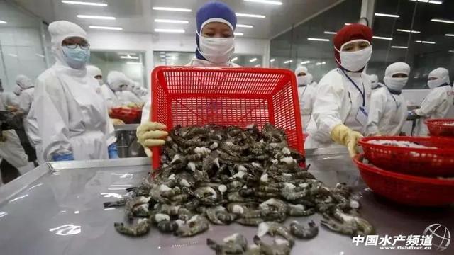 加拿大零售蝦產(chǎn)品驚現(xiàn)“超級細菌”，加工廠感染疑為源頭