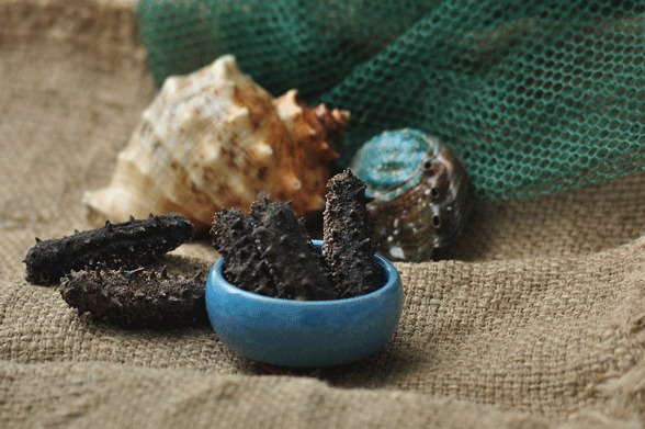 國(guó)內(nèi)三大海參產(chǎn)地探秘 品質(zhì)、特色與市場(chǎng)銷售全景